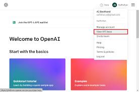 chatgpt plus openai api key3. 使用ChatGPT Plus开放AI API的步骤