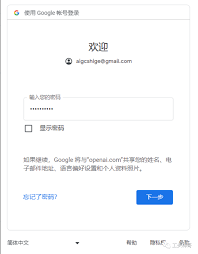 openai注册谷歌邮箱不支持注册时为什么要填写邮箱？